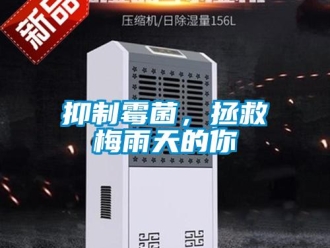 知識(shí)百科抑制霉菌，拯救梅雨天的你