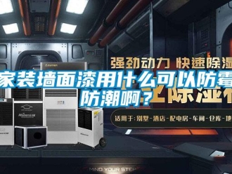 常見問題家裝墻面漆用什么可以防霉防潮啊？