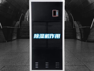 企業新聞除濕機作用