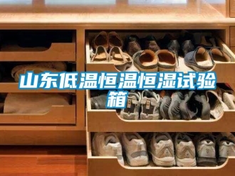 知識百科山東低溫恒溫恒濕試驗箱