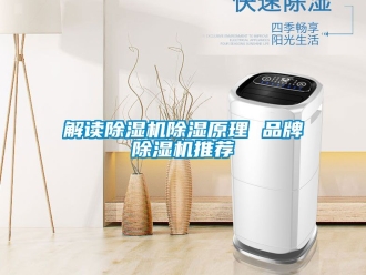 企業新聞解讀除濕機除濕原理 品牌除濕機推薦