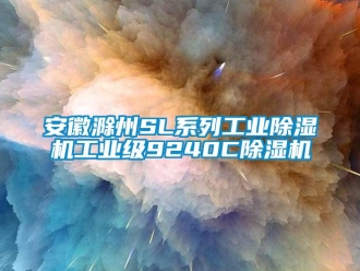 常見(jiàn)問(wèn)題安徽滁州SL系列工業(yè)除濕機(jī)工業(yè)級(jí)9240C除濕機(jī)