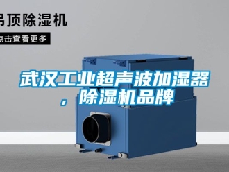常見問題武漢工業超聲波加濕器，除濕機品牌