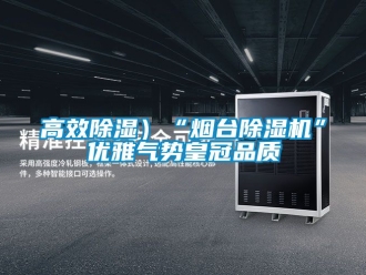 行業(yè)新聞高效除濕）“煙臺(tái)除濕機(jī)”優(yōu)雅氣勢(shì)皇冠品質(zhì)