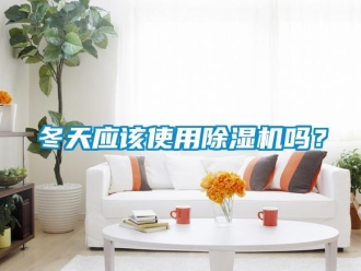 常見問題冬天應該使用除濕機嗎？