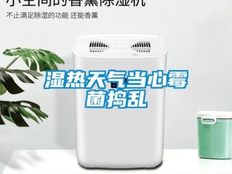 知識百科濕熱天氣當心霉菌搗亂