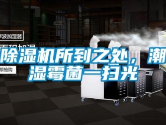 企業新聞除濕機所到之處，潮濕霉菌一掃光