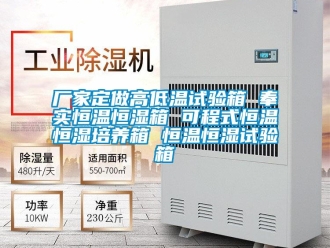 知識百科廠家定做高低溫試驗箱 奉實恒溫恒濕箱 可程式恒溫恒濕培養箱 恒溫恒濕試驗箱