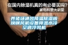 養豬場通風降溫除濕玻璃鋼風機設備降溫水冷空調冷風機