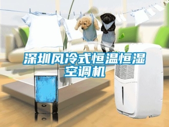 知識百科深圳風冷式恒溫恒濕空調機