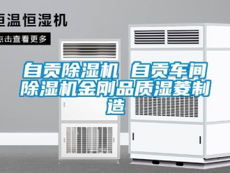 企業新聞自貢除濕機 自貢車間除濕機金剛品質濕菱制造