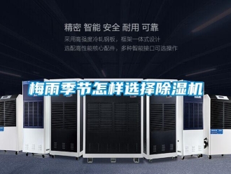 常見問題梅雨季節怎樣選擇除濕機