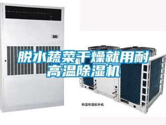 知識百科脫水蔬菜干燥就用耐高溫除濕機