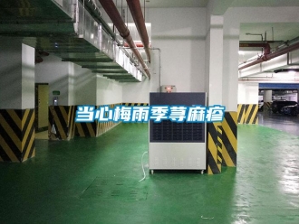 企業新聞當心梅雨季蕁麻疹