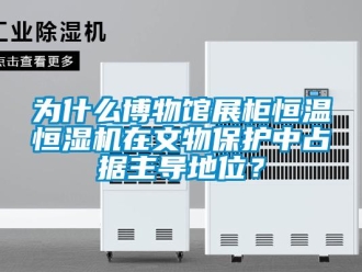 知識百科為什么博物館展柜恒溫恒濕機在文物保護中占據主導地位？
