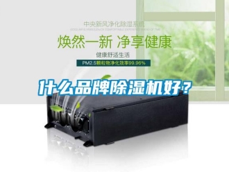 知識百科什么品牌除濕機好？