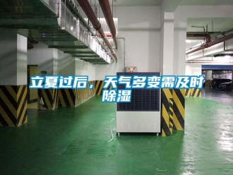 行業新聞立夏過后，天氣多變需及時除濕
