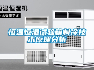 知識(shí)百科恒溫恒濕試驗(yàn)箱制冷技術(shù)原理分析