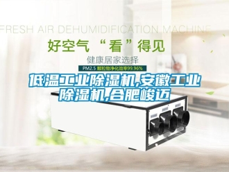 常見問題低溫工業除濕機,安徽工業除濕機,合肥峻邁