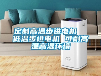 常見問題定制高溫步進電機  低溫步進電機 可耐高溫高濕環境