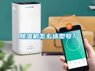 行業(yè)新聞除濕機(jī)怎么選型號？