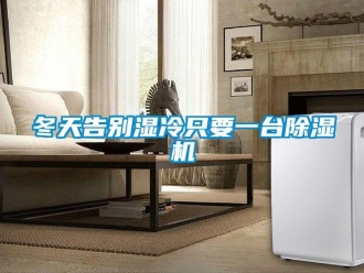 企業(yè)新聞冬天告別濕冷只要一臺除濕機