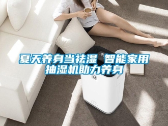 知識(shí)百科夏天養(yǎng)身當(dāng)祛濕 智能家用抽濕機(jī)助力養(yǎng)身