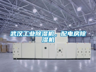 常見問題武漢工業除濕機，配電房除濕機