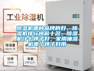 企業新聞除濕機哪種品牌的好，除濕機排行榜前十名，除濕機什么牌子好，家用抽濕機哪個牌子好用