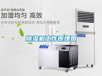 行業新聞除濕機工作原理圖