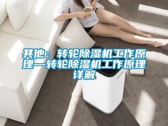 常見問題其他：轉輪除濕機工作原理—轉輪除濕機工作原理詳解