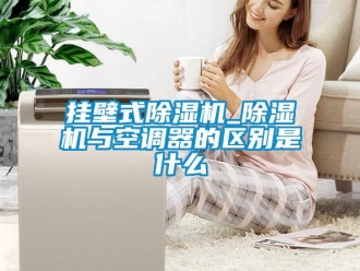行業(yè)新聞掛壁式除濕機_除濕機與空調(diào)器的區(qū)別是什么