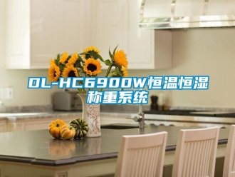 常見問題DL-HC6900W恒溫恒濕稱重系統