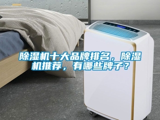 企業新聞除濕機十大品牌排名，除濕機推薦，有哪些牌子？