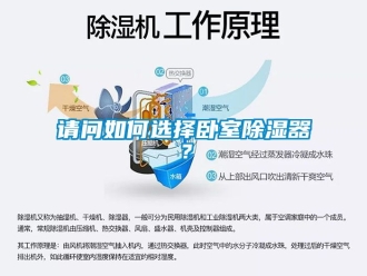行業新聞請問如何選擇臥室除濕器？