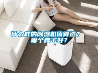行業(yè)新聞什么樣的除濕機(jī)值得選？ 哪個牌子好？