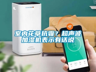 知識百科室內花草抗霾？超聲波加濕機表示有話說