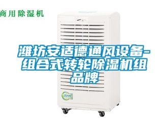 常見問題濰坊安適德通風設備-組合式轉輪除濕機組品牌