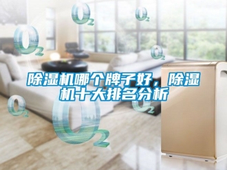 行業新聞除濕機哪個牌子好，除濕機十大排名分析