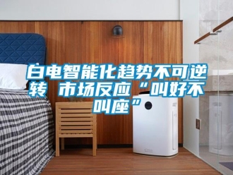 常見問題白電智能化趨勢不可逆轉 市場反應“叫好不叫座”