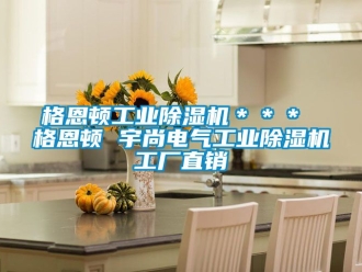 常見問題格恩頓工業(yè)除濕機(jī)＊＊＊ 格恩頓 宇尚電氣工業(yè)除濕機(jī)工廠直銷