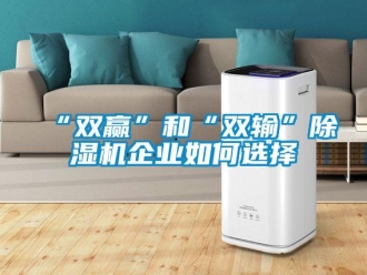 常見問題“雙贏”和“雙輸”除濕機企業(yè)如何選擇