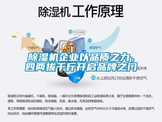 常見問題除濕機(jī)企業(yè)以品質(zhì)之力，四兩拔千斤開啟品牌之門