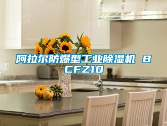 企業(yè)新聞阿拉爾防爆型工業(yè)除濕機(jī) BCFZ10