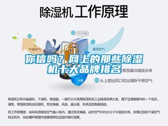 常見問題你信嗎？網上的那些除濕機十大品牌排名
