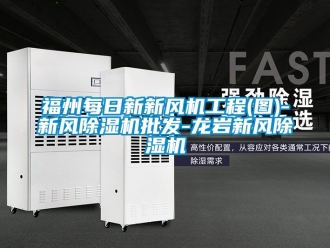 常見問題福州每日新新風機工程(圖)-新風除濕機批發-龍巖新風除濕機