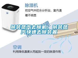 企業新聞吊裝蒸汽去除機，吊裝蒸汽快速去除裝置