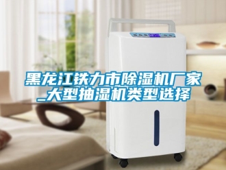 企業(yè)新聞黑龍江鐵力市除濕機(jī)廠家_大型抽濕機(jī)類型選擇