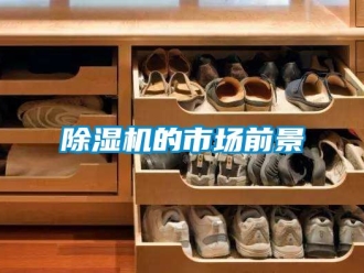 企業(yè)新聞除濕機(jī)的市場前景
