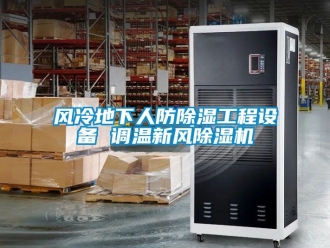 常見問題風(fēng)冷地下人防除濕工程設(shè)備 調(diào)溫新風(fēng)除濕機
